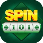 Spin 101